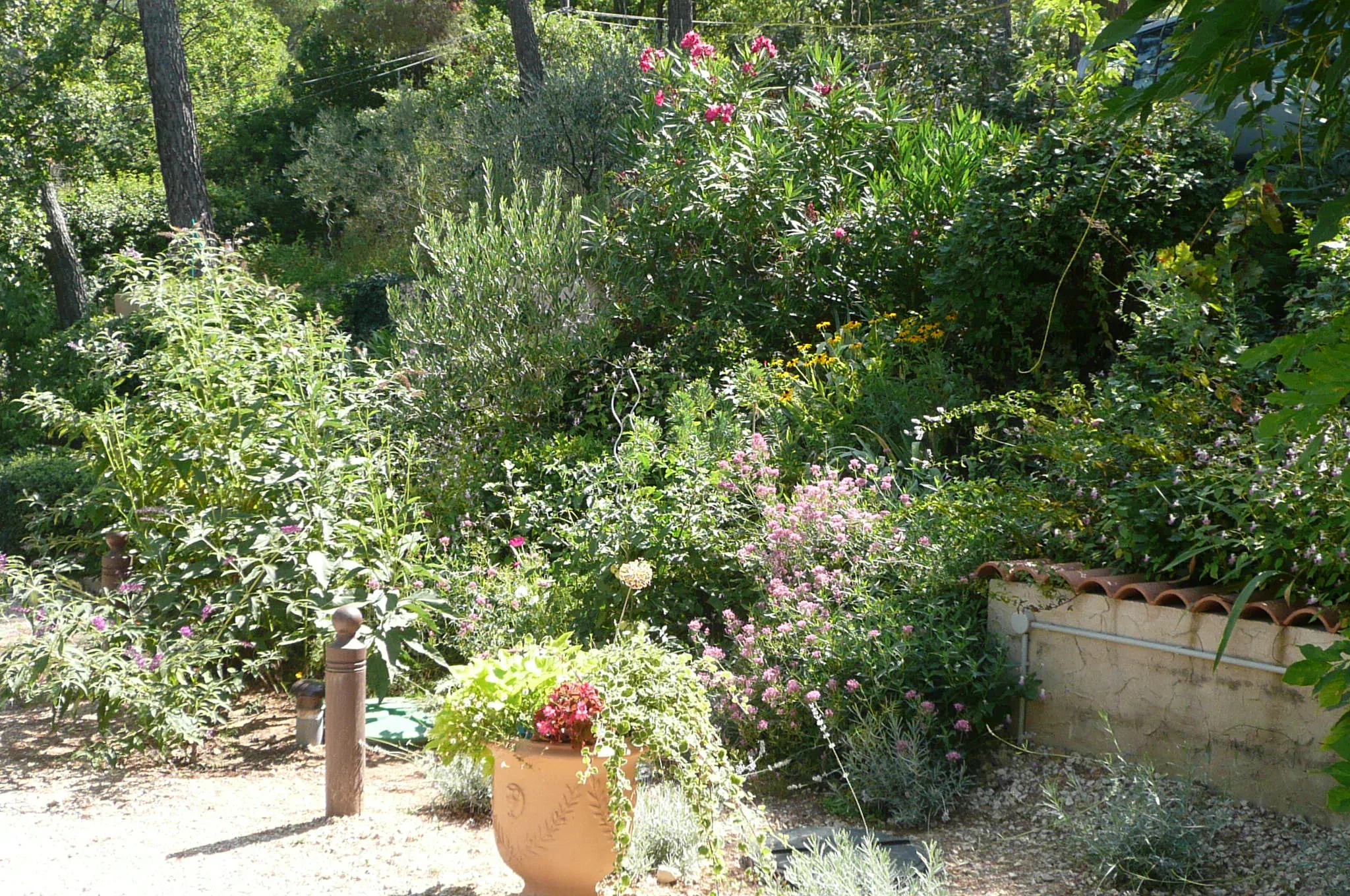 Sentier provençal